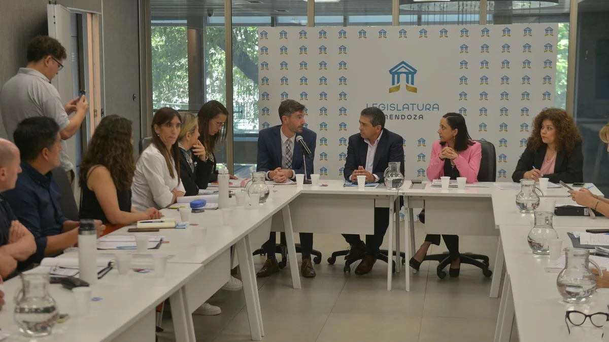 El Senado avanza con el proyecto para castigar a familias por casos de bullying en escuelas