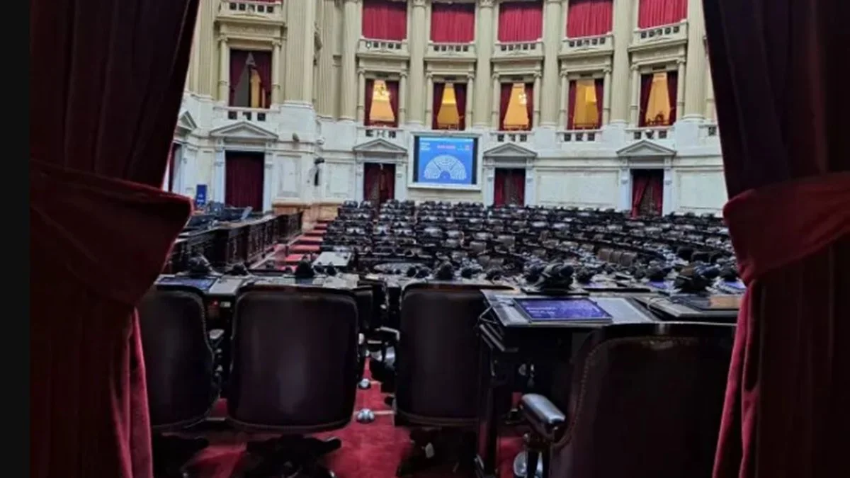 Sin la "Cláusula Petri", Diputados debate el proyecto Ficha Limpia