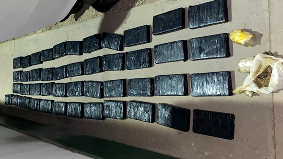 Cocaína con "corte asesino": condenan a 2 hombres por llevar 63 kg adulterados con antiparasitario veterinario