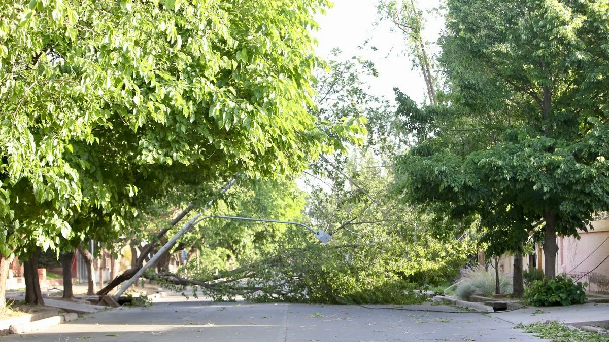 Se esperan "fuertes" ráfagas de viento Zonda para este sábado en Mendoza: a qué hora baja al llano