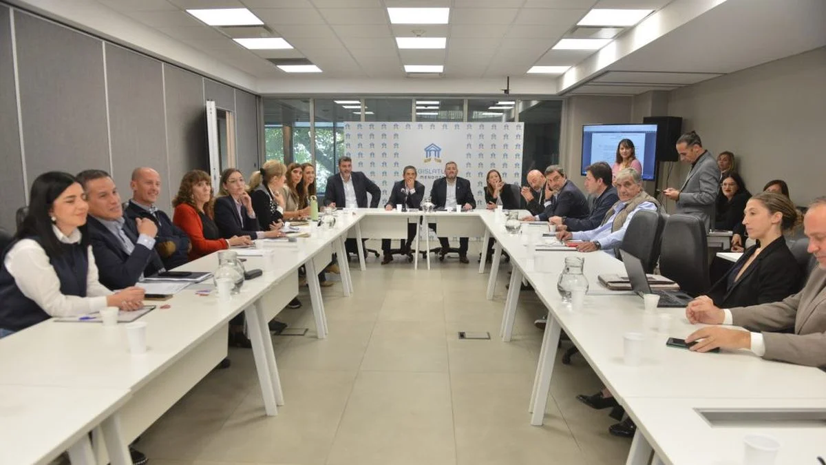 El Senado dio el visto final con la autonomía municipal: cuándo se votaría