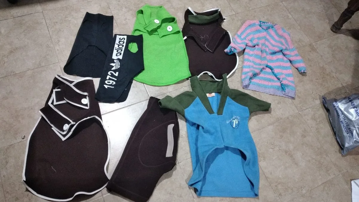 San Rafael: un joven confecciona ropa para que perros de la calle no sufran el frente frío
