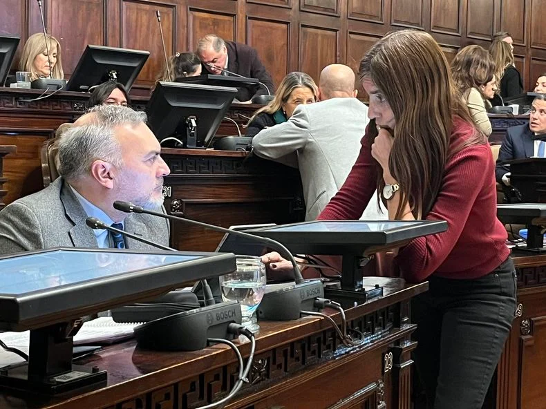 F&eacute;lix Gonz&aacute;lez (PJ) y Natacha Eisenchlas (UCR) en la sesi&oacute;n del Senado que aprob&oacute; un proyecto que impacta en las salas de juego.&nbsp;