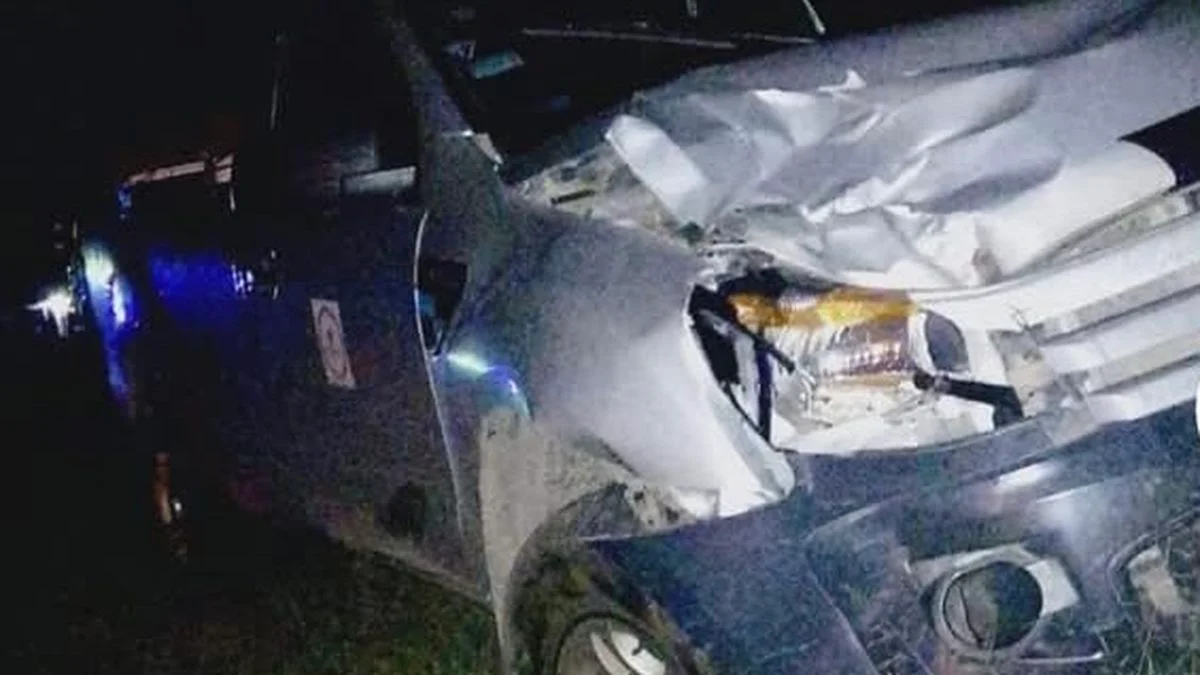 Tragedia en General Alvear: cruzaba una ruta con su bici a cuestas y lo atropelló una camioneta
