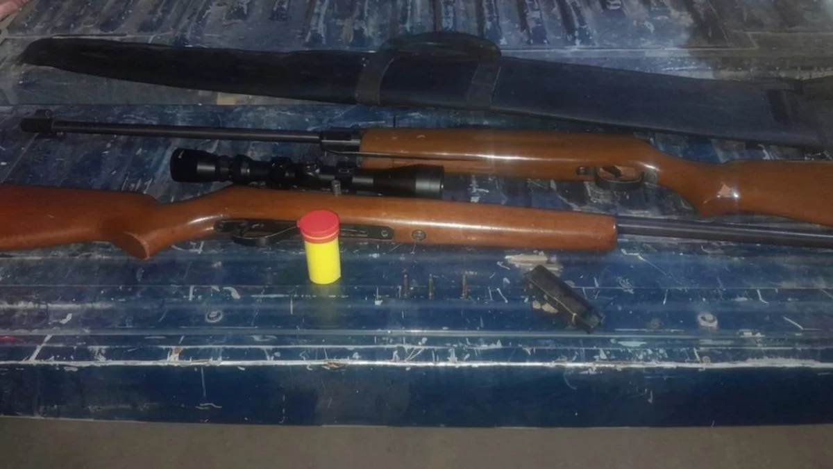 Tres hombres quedaron detenidos por llevar armas sin documentación en su auto