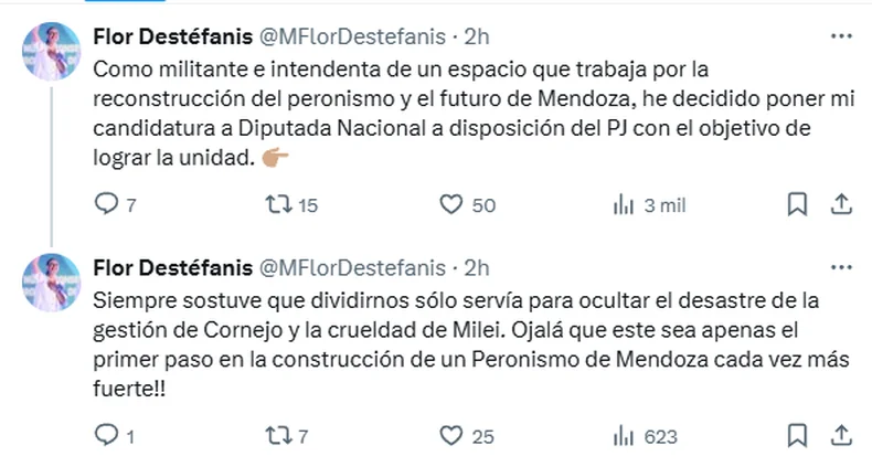 Las explicaciones de Flor Dest&eacute;fanis para bajarse de la lista del PJ.&nbsp;