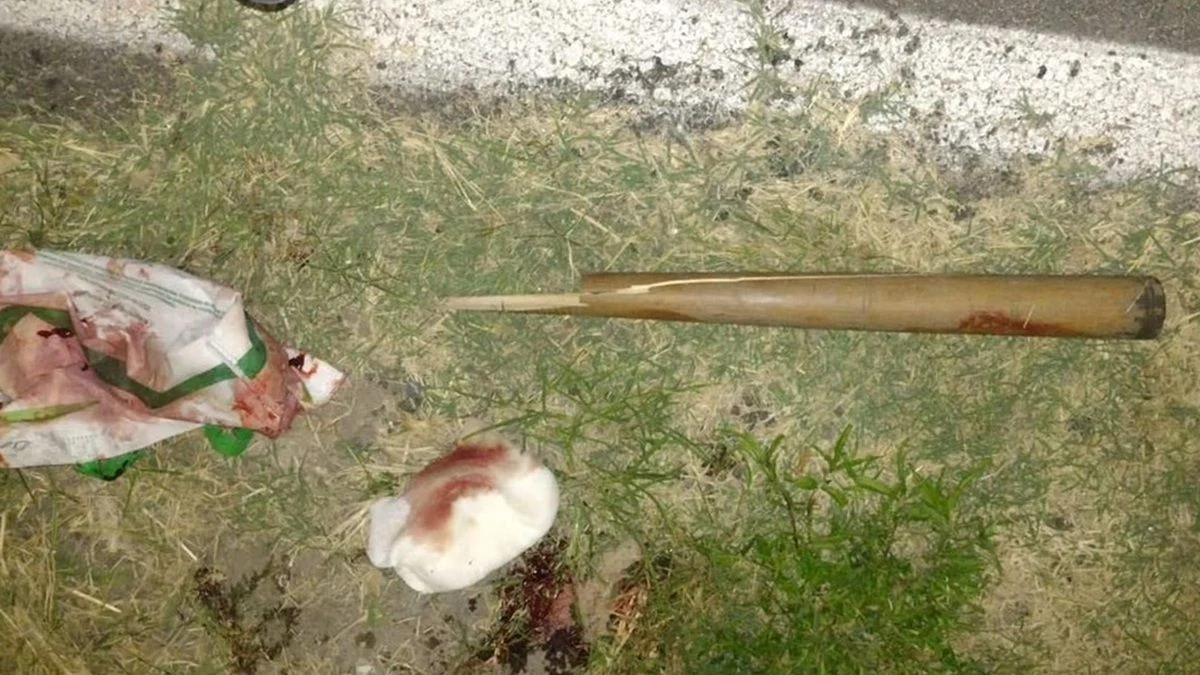 Muerte cerebral: discutió con su sobrino por un terreno y este lo atacó con un bate de beisbol