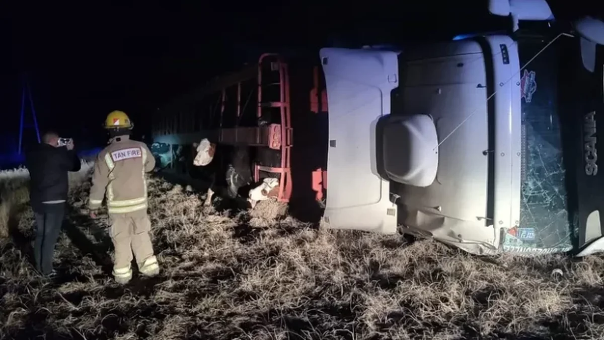 Accidente con animales en General Alvear: murieron 15 vacas