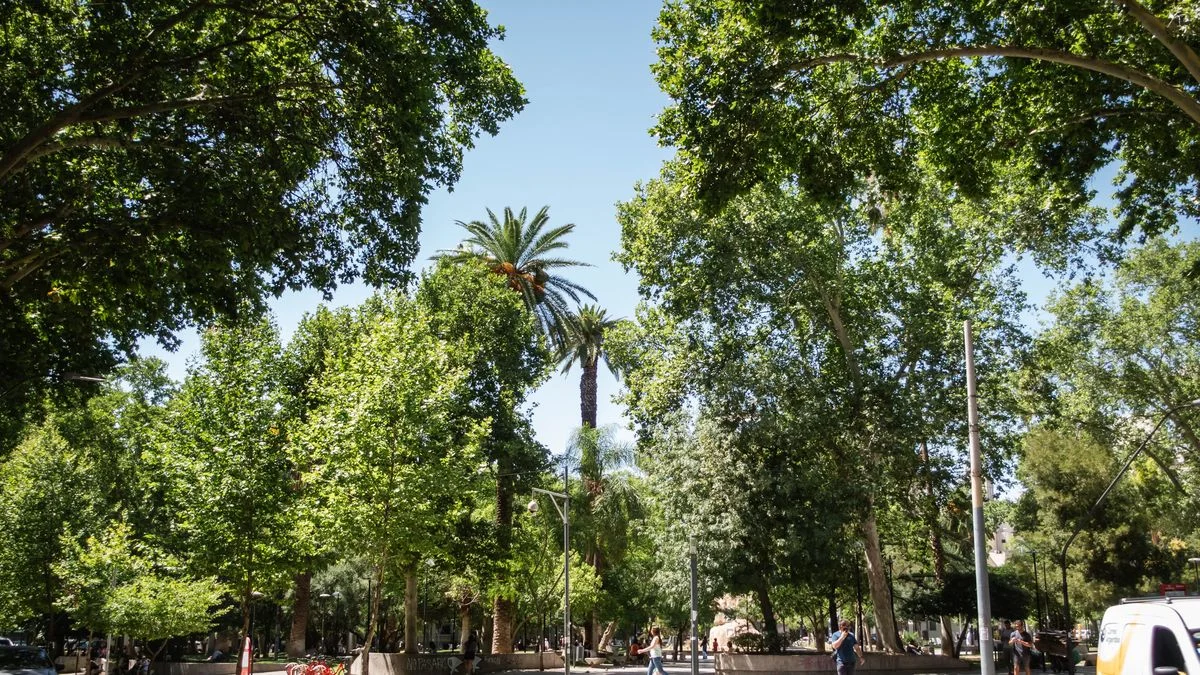El tiempo en Mendoza: sábado soleado, con leve ascenso de la temperatura