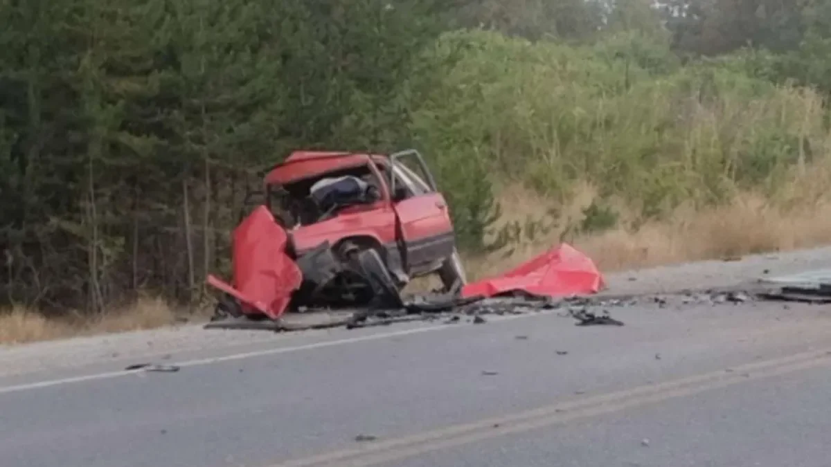 Era voluntario en Chubut: murió en un choque y su perro permaneció con él hasta la llegada de la Policía