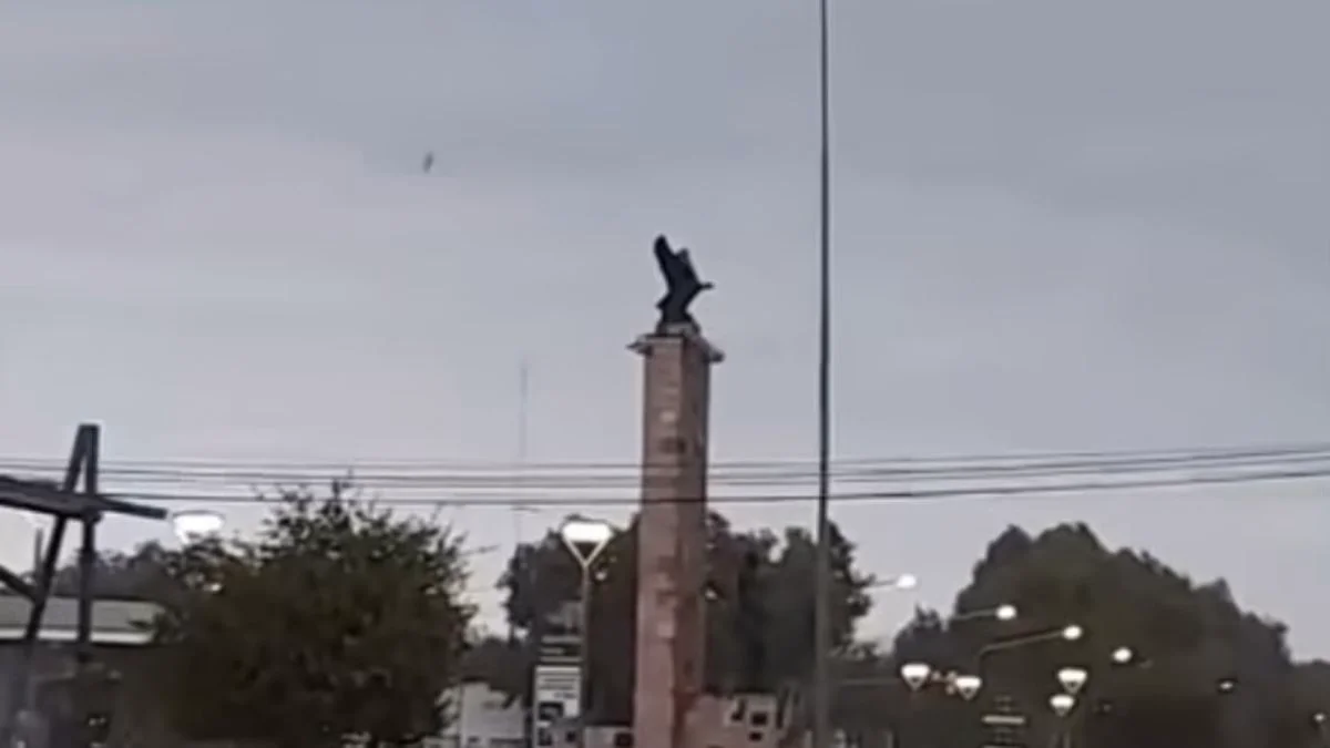 General Alvear: un video del mástil de la bandera generó polémica y preocupación