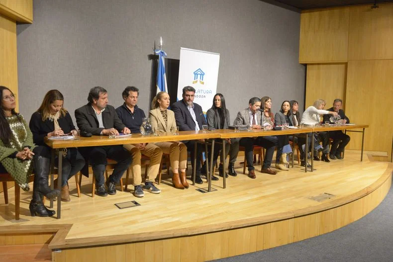 Senadores del oficialismo y de la oposición durante la Audiencia Pública de Daniela Cichinelli. 
