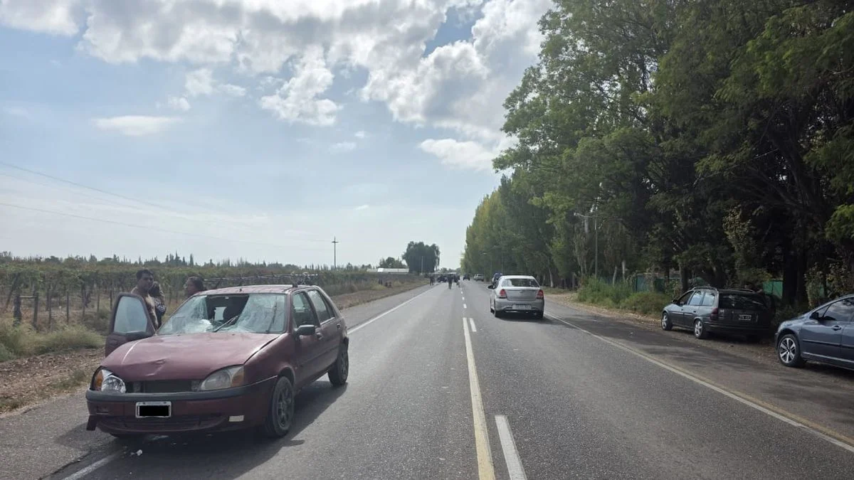 Accidente fatal: una conductora se tiró a la banquina y mató a una mujer que caminaba al costado de la ruta