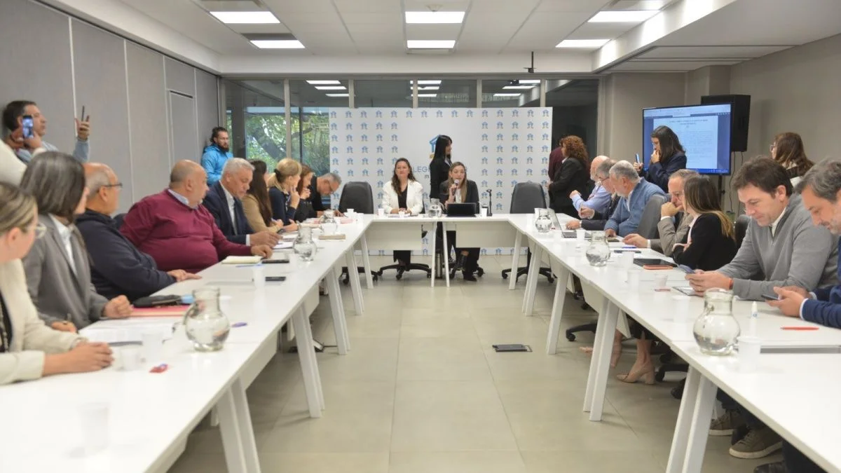 Avanza en el Senado el tratamiento de la DIA para un proyecto de litio en San Rafael y Malargüe