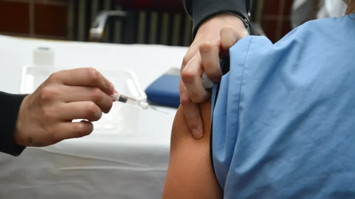 Por qué vacunarse contra el dengue en el invierno generará inmunidad para el verano
