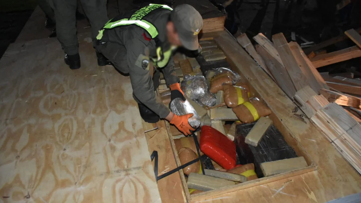 Cargamento millonario de marihuana: más de tres toneladas ocultas en un camión que transportaba madera