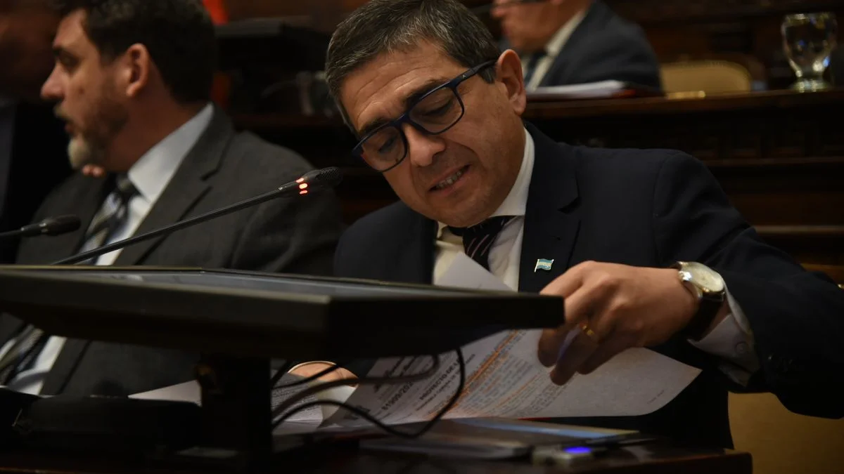 Walther Marcolini y la autonomía municipal: "No hay consenso político para una reforma de la Constitución"