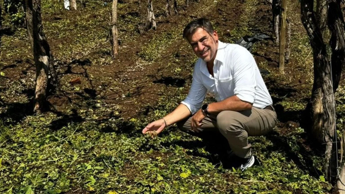 Mario Vadillo también se metió con la lucha antigranizo y las tormentas en el sur: "Es una estafa legalizada"