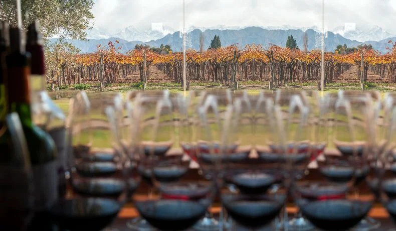 Un informe reveló datos clave sobre el vino en Mendoza, cantidad visitantes y el impacto económico