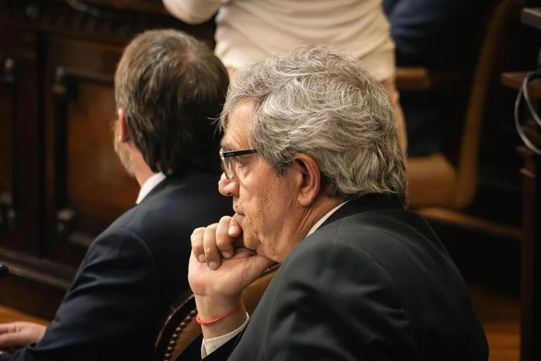 Armando Magistretti (PD) fue otro de los senadores que vot&oacute; en contra.&nbsp;