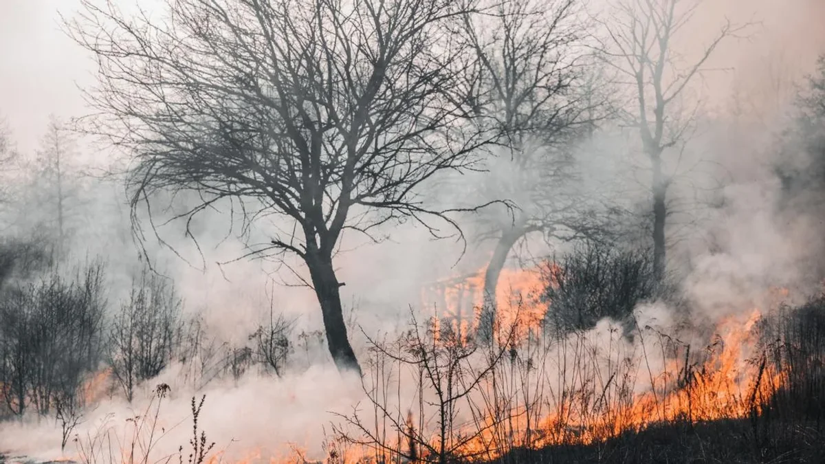 Calor y sequía, combo letal: alertan por "riesgo extremo" de incendios forestales en Mendoza