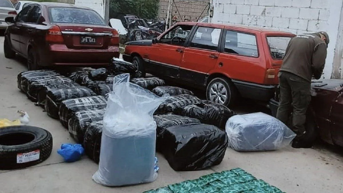Operativo: secuestraron casi media tonelada de hojas de coca que habían ingresado de forma ilegal a Mendoza