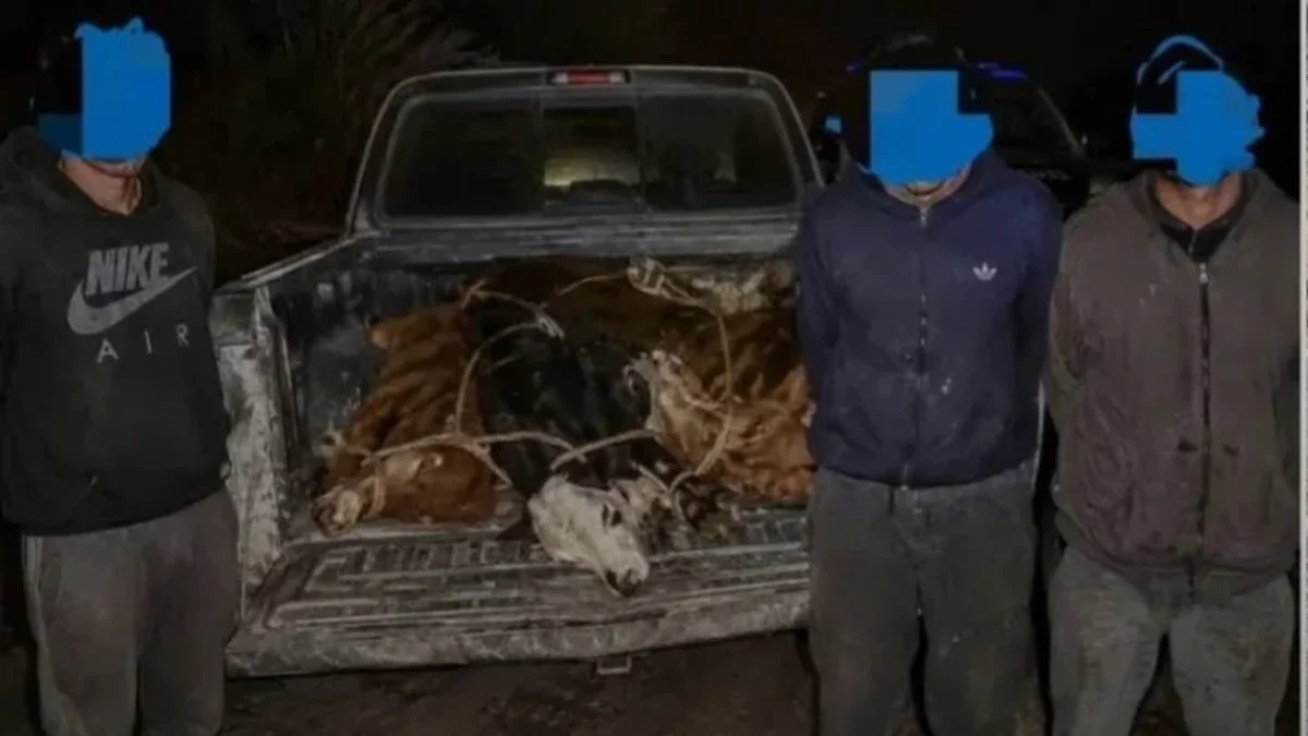 Persecución y robo de animales en General Alvear: un policía bajo sospecha