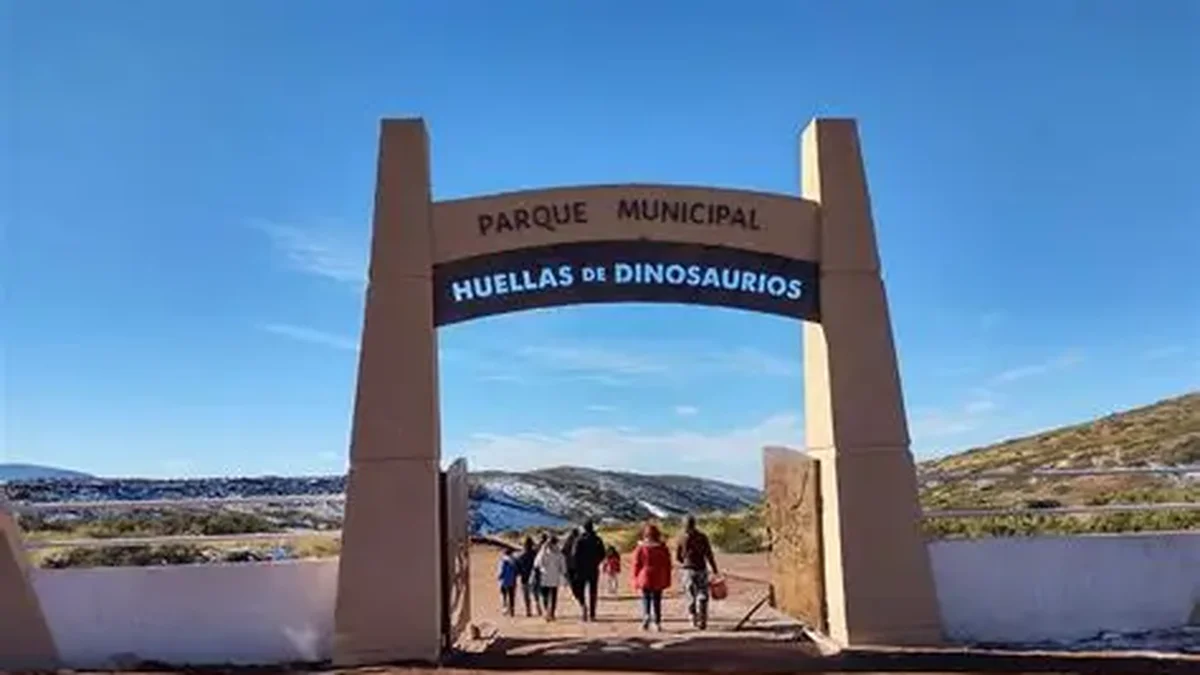 Bus para el turismo en Malargüe, una opción para recorrer los paisajes y la historia
