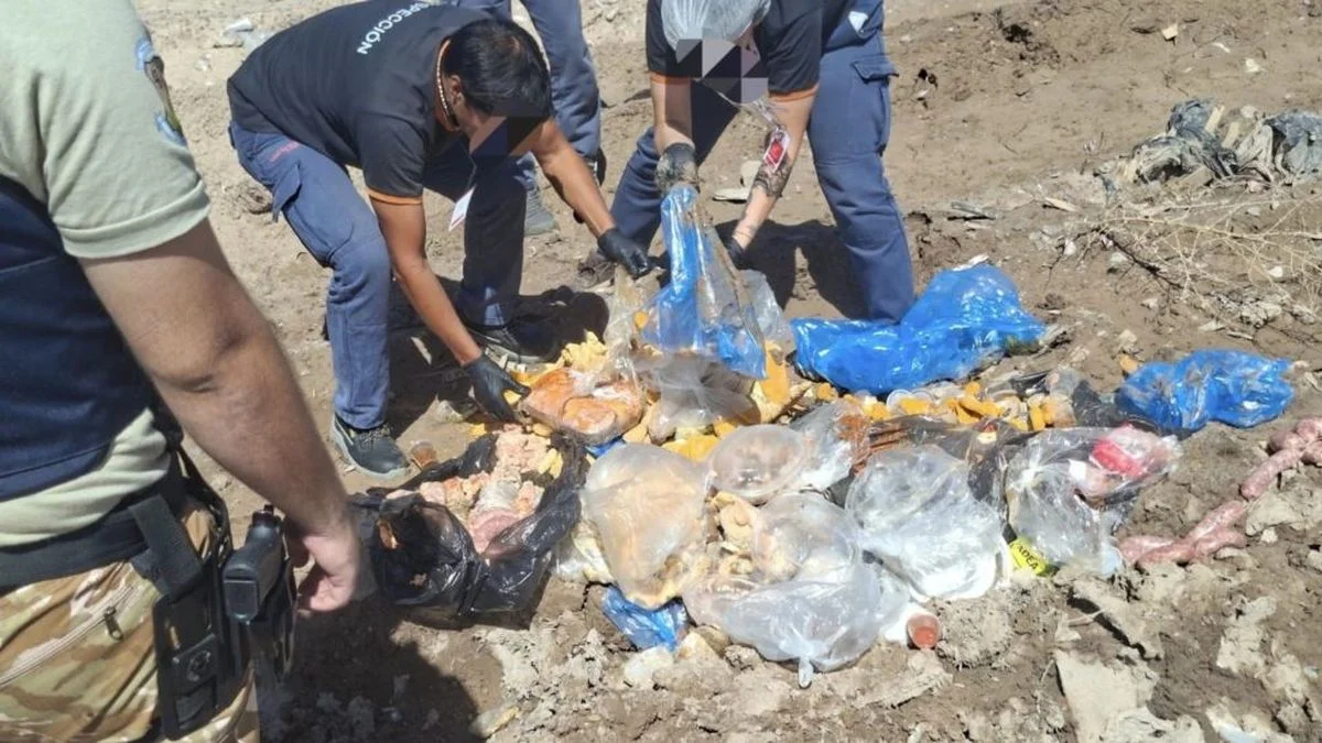 Decomisan cincuenta kilos de alimentos vencidos que ofrecían para la venta en un comercio de Las Heras