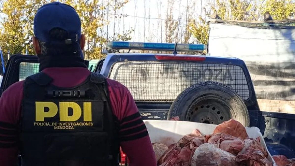 Secuestran más de 150 kilos de carne tras una denuncia por robo de equinos en San Martín