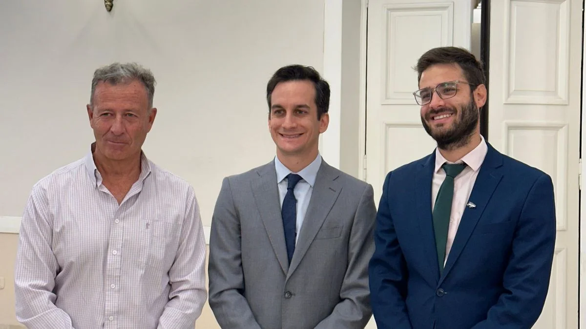 Impuesto Automotor: el Partido Verde espera que el juez suspenda vencimientos y ordene reliquidar