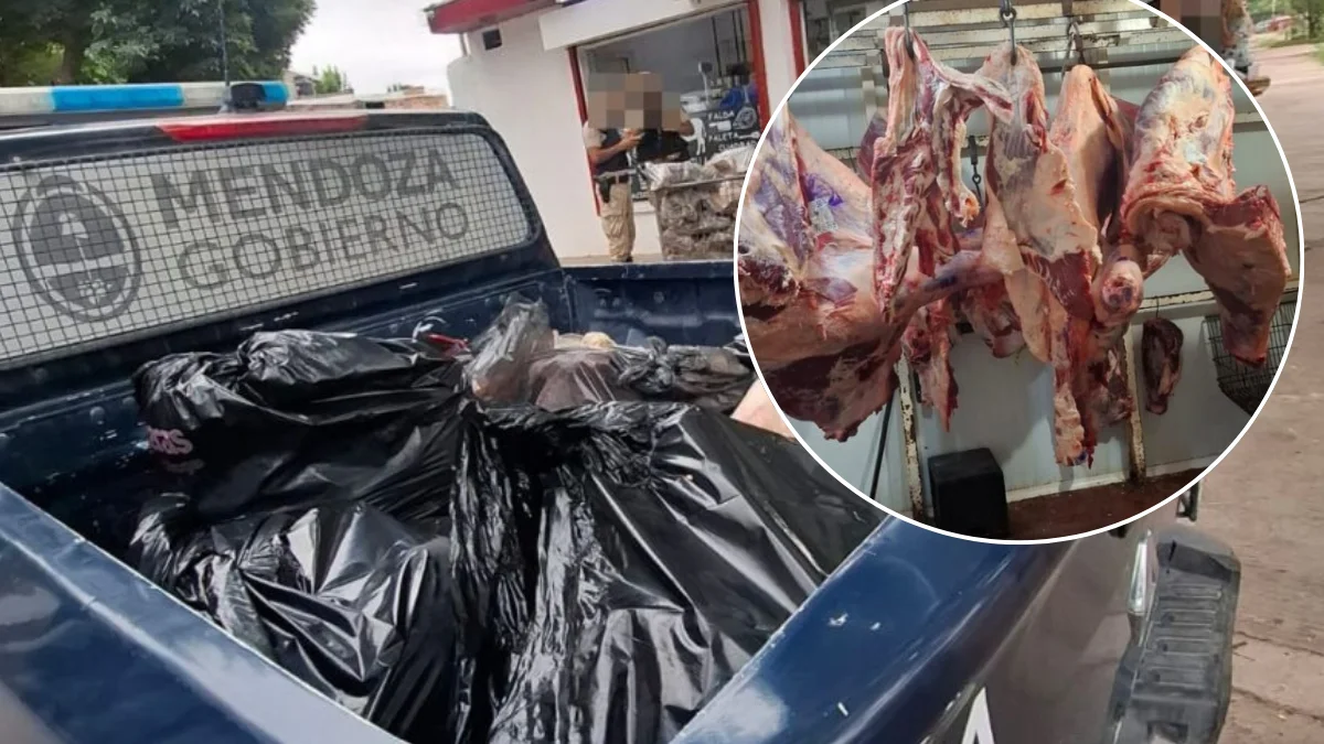 Escándalo sanitario en Las Heras: decomisaron 300 kilos de carne en mal estado