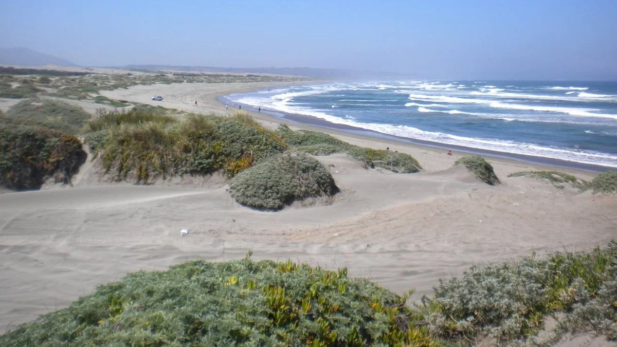 Una adolescente mendocina de 14 años murió ahogada en las costas de Chile