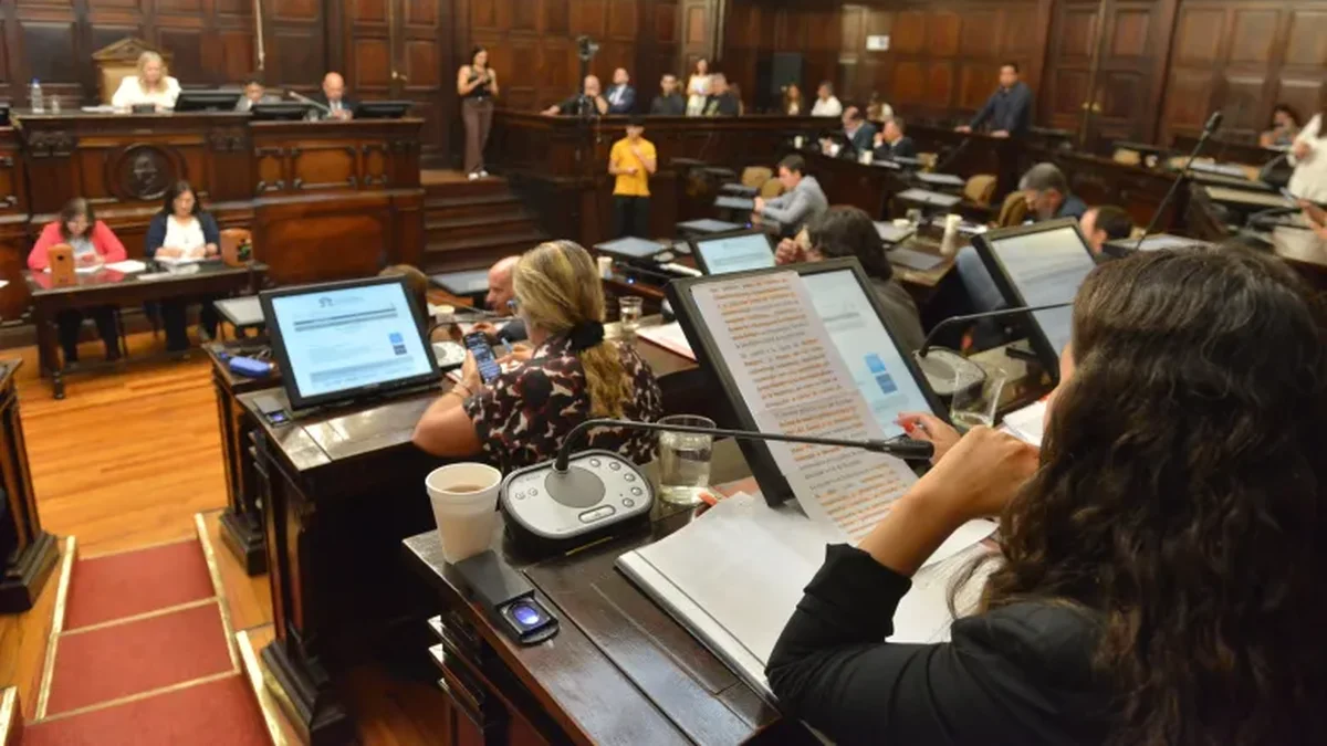 Sanción definitiva en el Senado a los cambios para agilizar causas penales en los delitos de flagrancia