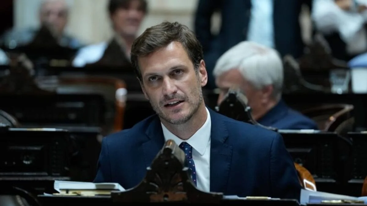 Un diputado del PRO compró un rifle de aire comprimido por Mercado Libre y provocó un gran operativo