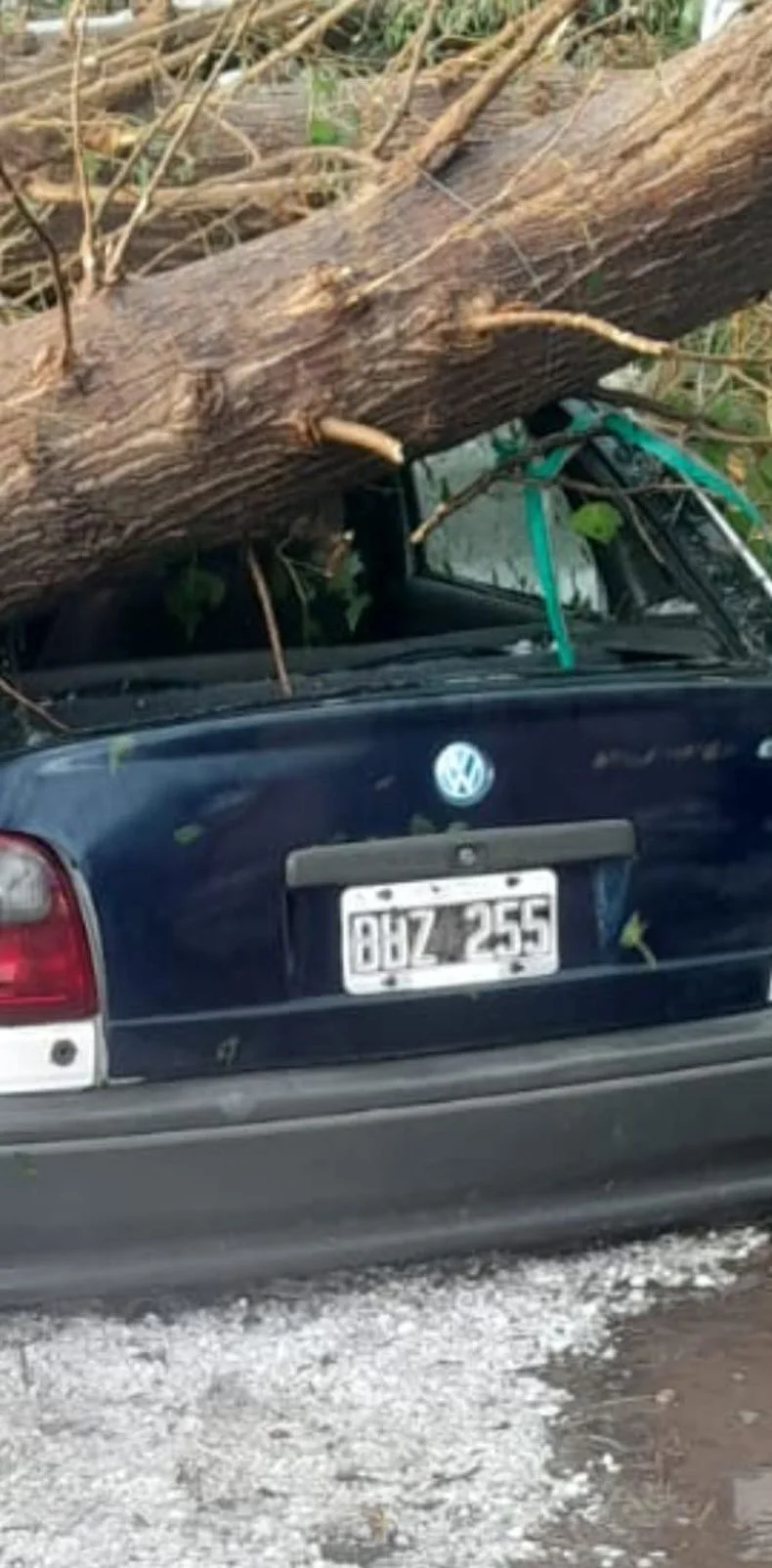 Tragedia en Santa Rosa.