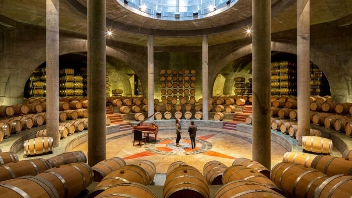 Gran Mendoza y el Valle de Uco tienen más bodegas, pero otra región las superó en producción de uvas