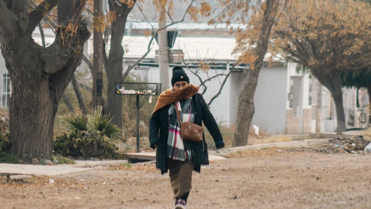 El tiempo en Mendoza: heladas parciales y poca nubosidad este lunes