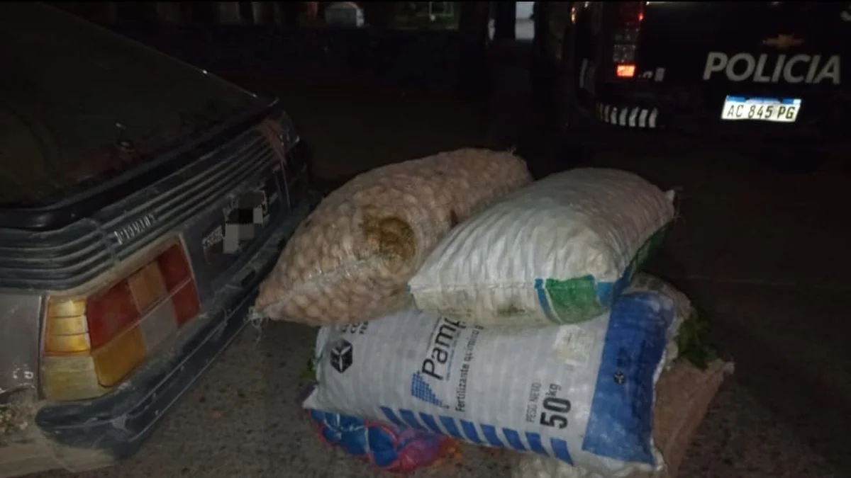 Cuatro detenidos tras el robo de cientos de kilos de nueces en el Valle de Uco