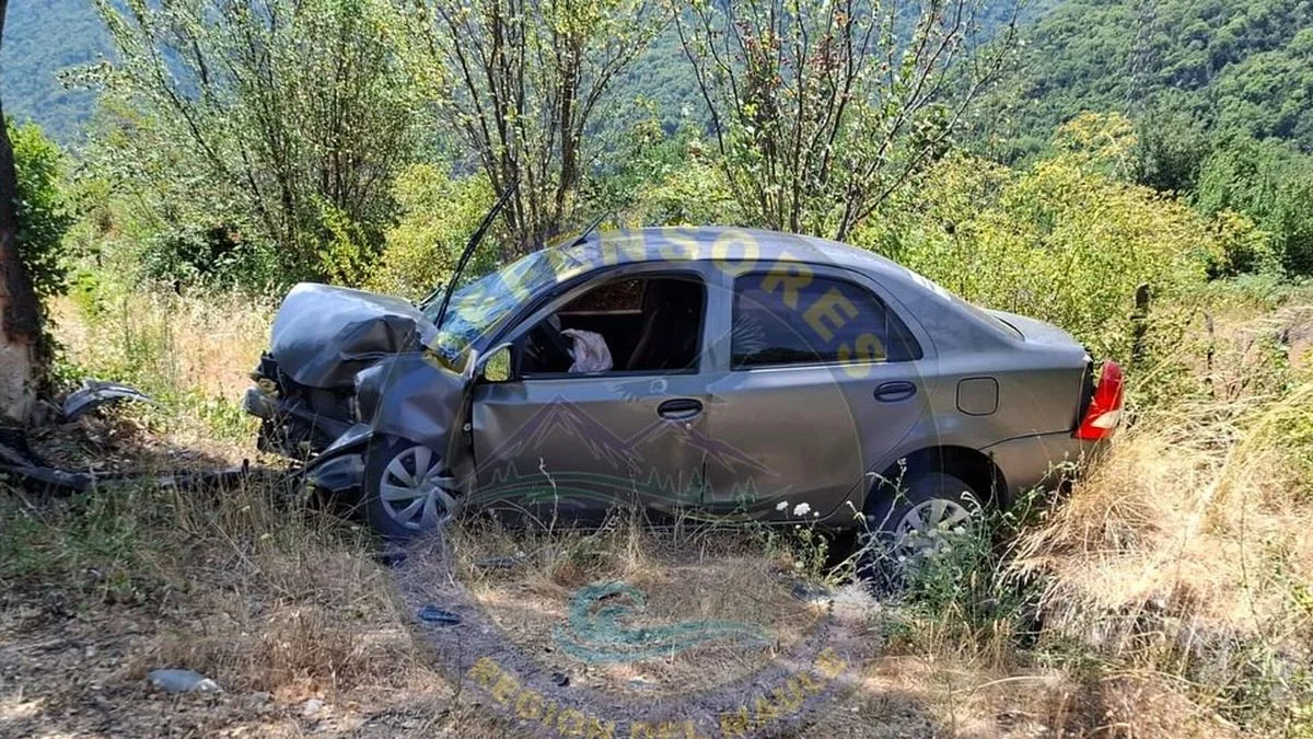 Chocaron contra un árbol en Chile: cómo están los mendocinos que sufrieron un accidente
