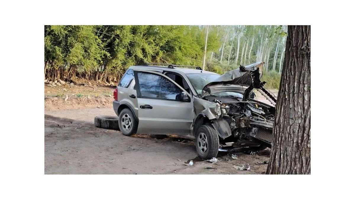 Manejaba alcoholizado y chocó contra un árbol en Tunuyán