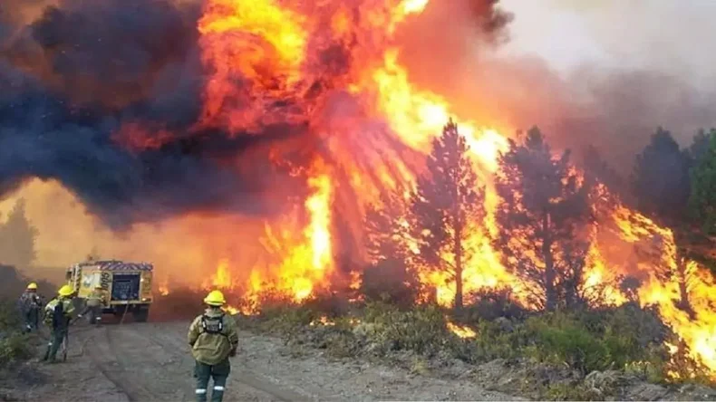 Los incendios han arrasado más de 8.000 hectáreas en los últimos días.