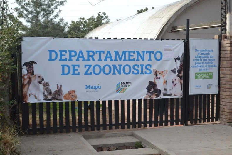 El &aacute;rea de zoonosis de Maip&uacute; es el responsable de varias acciones.&nbsp;