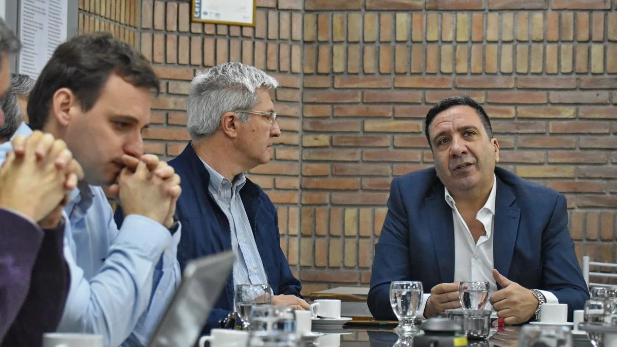 Licencia de conducir: piden modificar la Ley de Tránsito para facilitar el cambio de domicilio