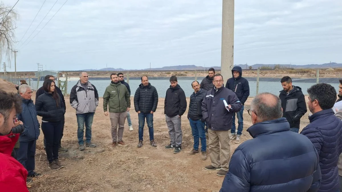Obras en un canal de San Rafael: recorrida de empresas previo a la jornada de licitación