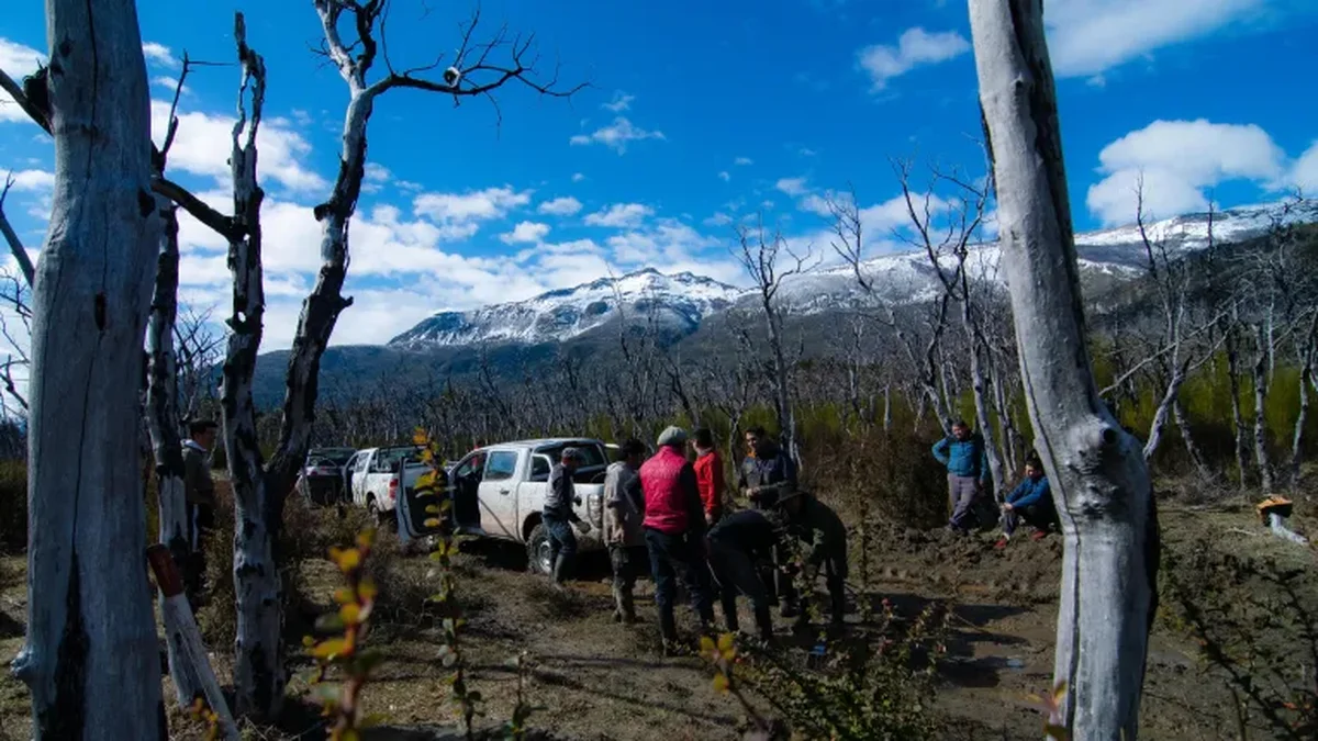 Más de dos meses después: declararon "contenido" el incendio en el parque Los Alerces