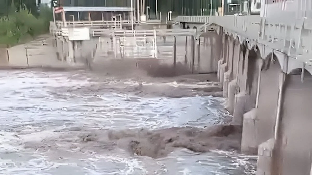 Mendoza colapsó con una tormenta: el viento voló techos y árboles y la lluvia convirtió calles en ríos