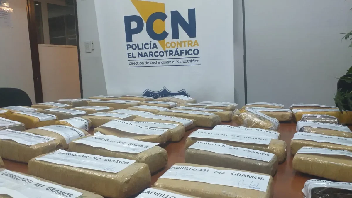 Histórico decomiso de casi 90 kilos de cocaína en el Gran Mendoza