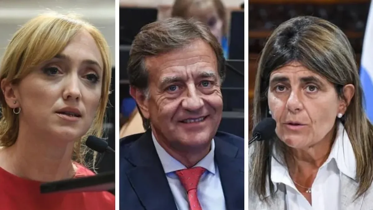 A favor y en contra: cómo votaron los senadores mendocinos a Ficha Limpia