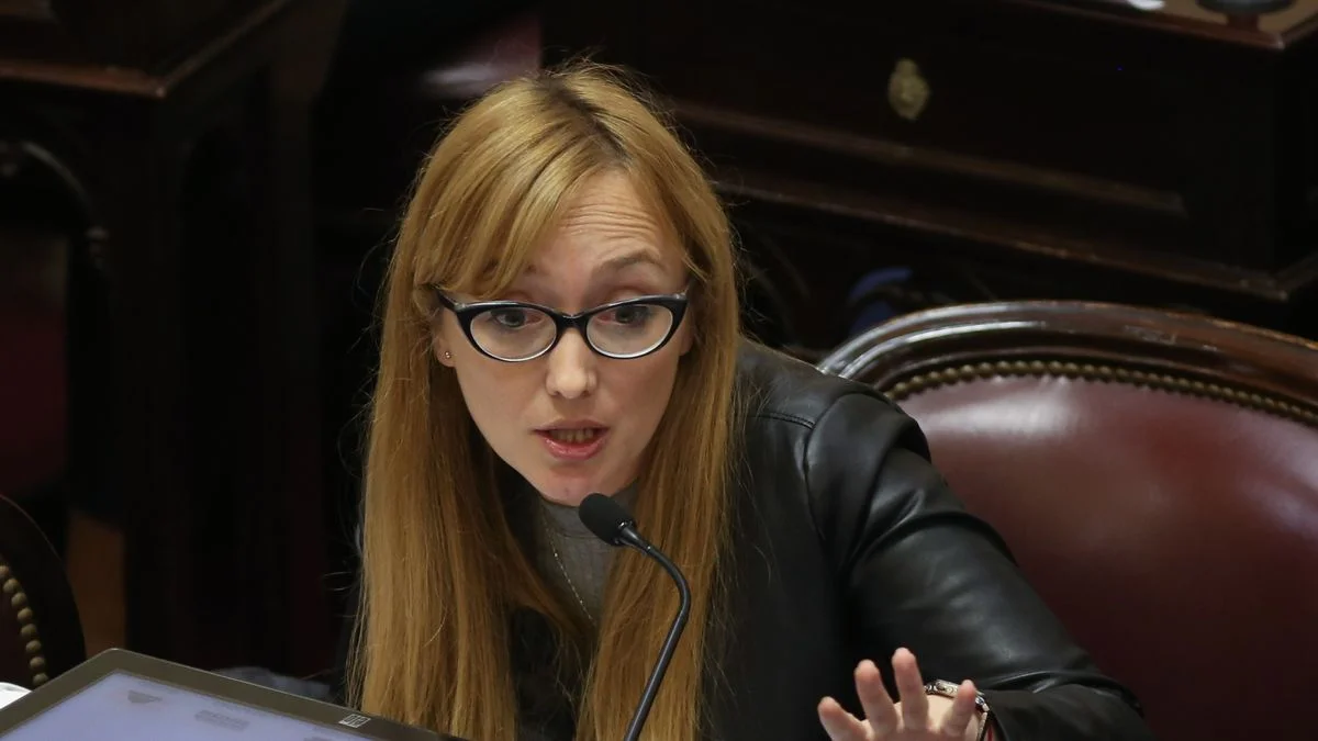 Sagasti, tras la suba de la mortalidad infantil: "Es por ser líderes del ranking de provincias pobres"